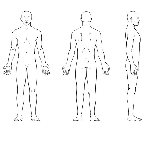 Body Diagram for Professional Massage Chart: front, back, left and right views