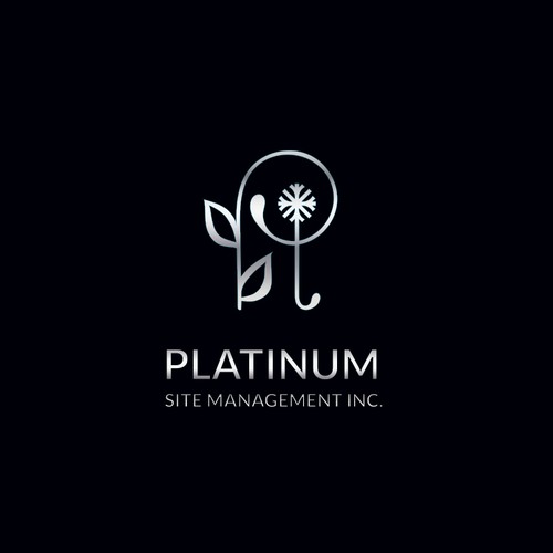 Platinum site management inc.