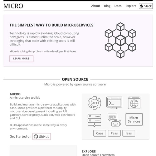 Web Design Concept for Micro