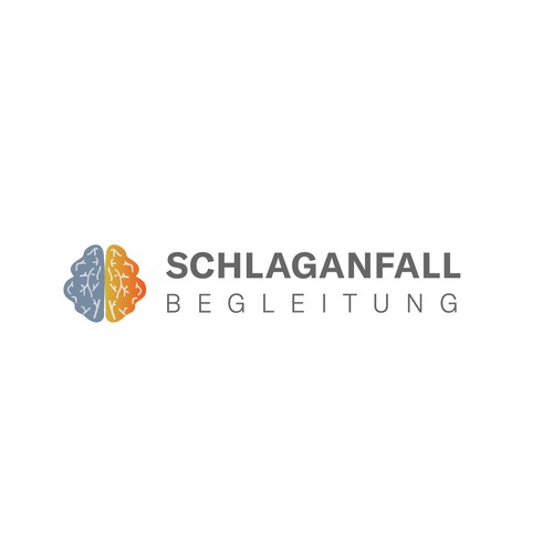 Schlagenfall Begleitung Logo