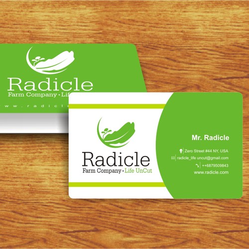 Logo concept and business Card Radicle