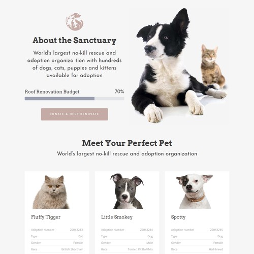 Pet's website design