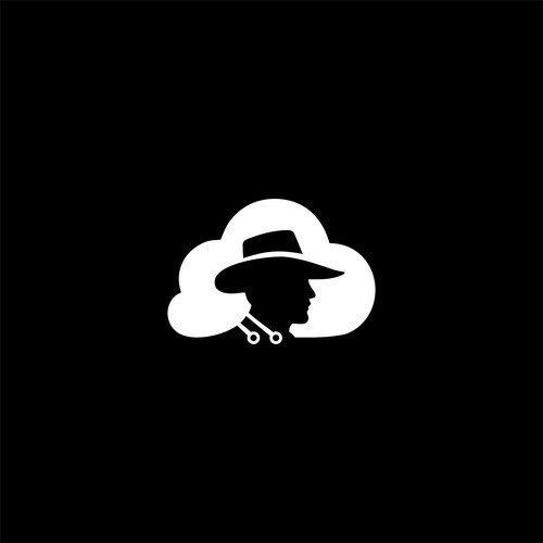 cloud data cowboy