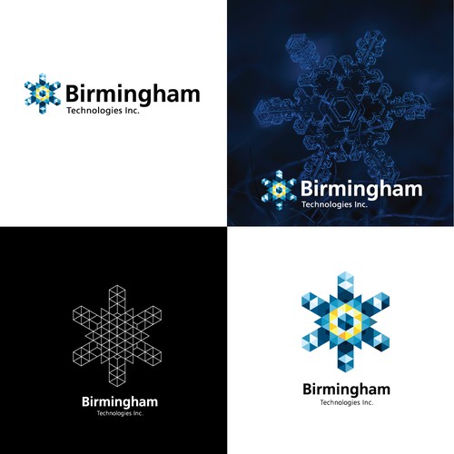Birmingham Technologies Inc.