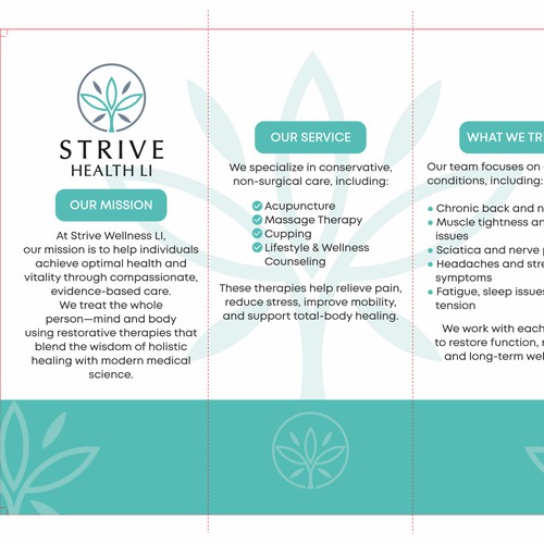 Tri-fold Brochure for Strive Health LI