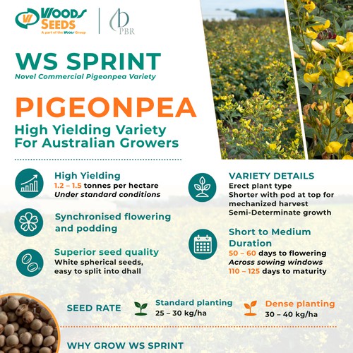 A4 Flyer for Print and Email