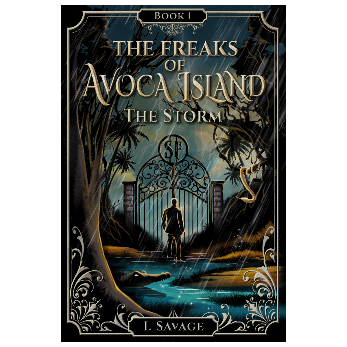 Desinger for Series Beginning with first ebook cover