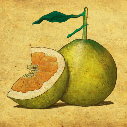 1930 fruit illustration