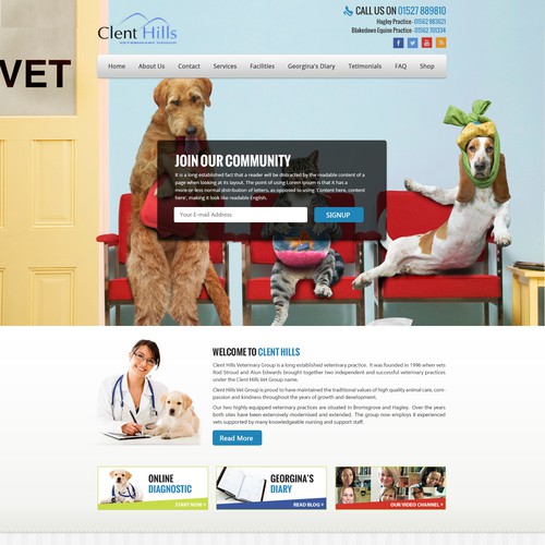 ClentHills Vets Landing Page