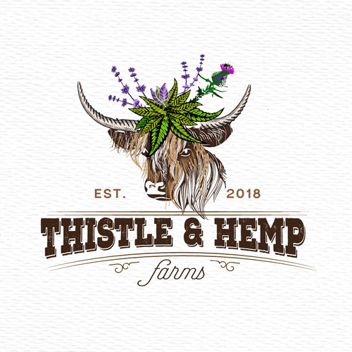 Thistle and hemp logo design