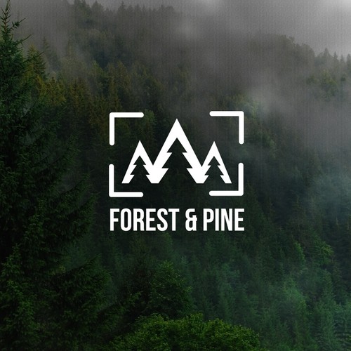 Forest & pine
