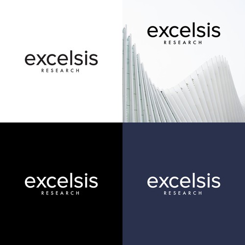 Logo Concept for Excelsis Research