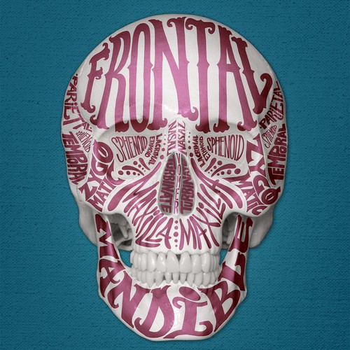 Head - typographic anatomy