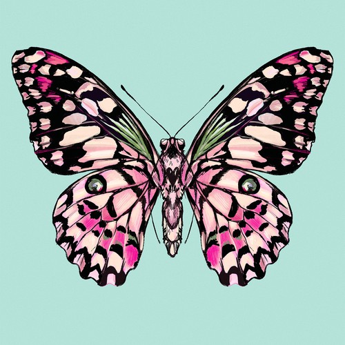 butterfly poster