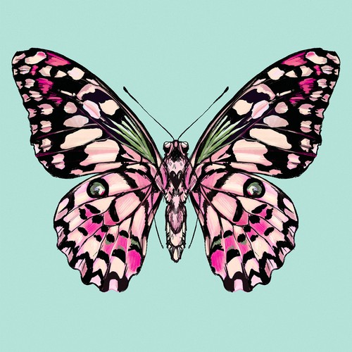 butterfly poster