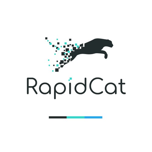 Logo concept for RapidCat