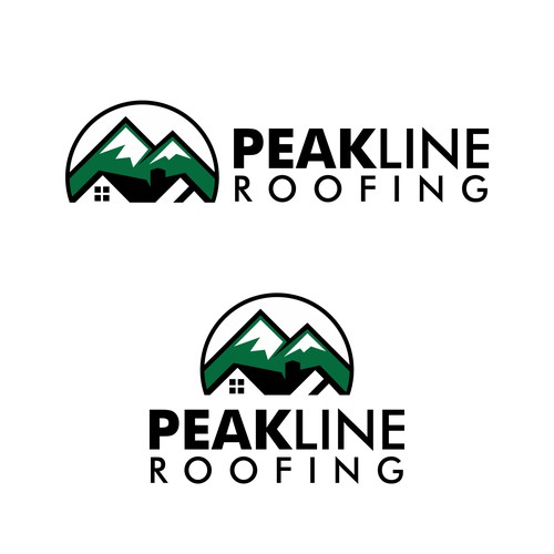 Bold Logo Concept for PEAKLINE ROOFING