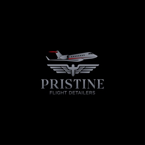 Design a bespoke logo for an exclusive private jet detailing company