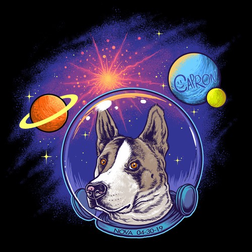 Nova the space dog