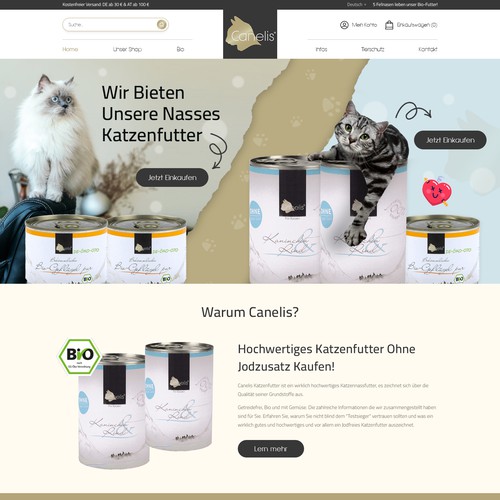 Innovative Web Design for Canelis