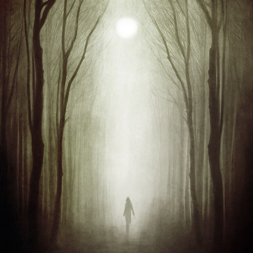 Alternate Whitewood Book Cover Design