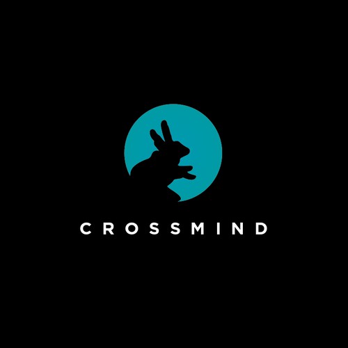 CrossMind Animation  Studios