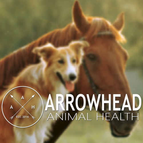 Modern Design for Animal Health Company