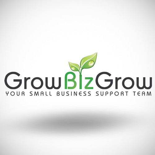 Help us build an awesome new logo for Grow Biz Grow!