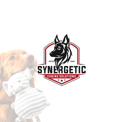 Dog Training Logo refinement.