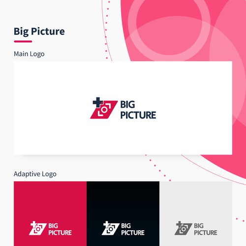 Logo Concept for Big Picture, Medical Documents Application