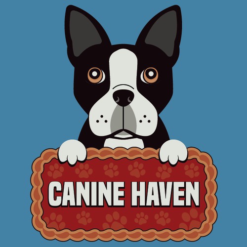 Cute Boston Terrier