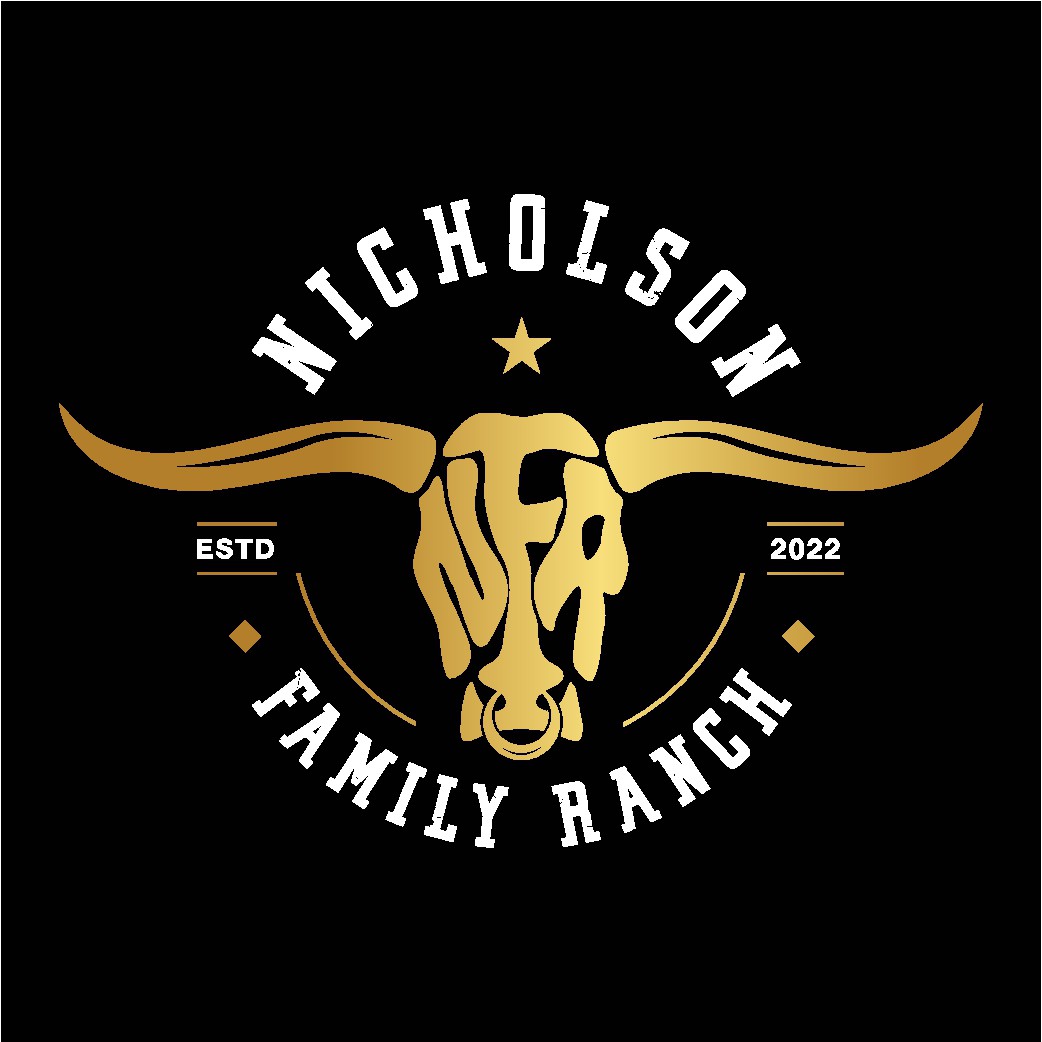Rustic Bullhead outline for a ranch logo with NFR in the center of the bull horns
