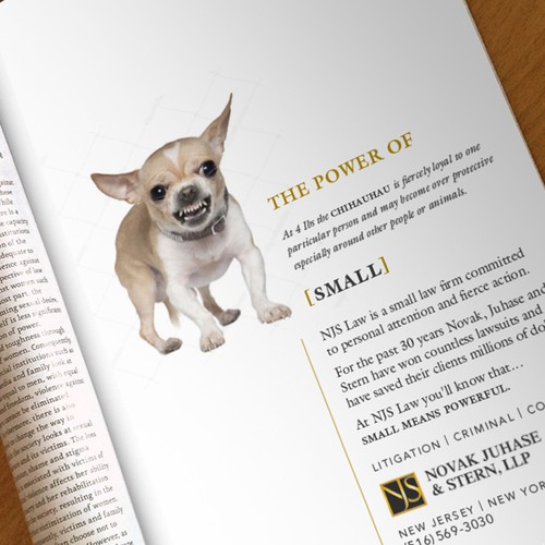 Print Ad for Small Law firm