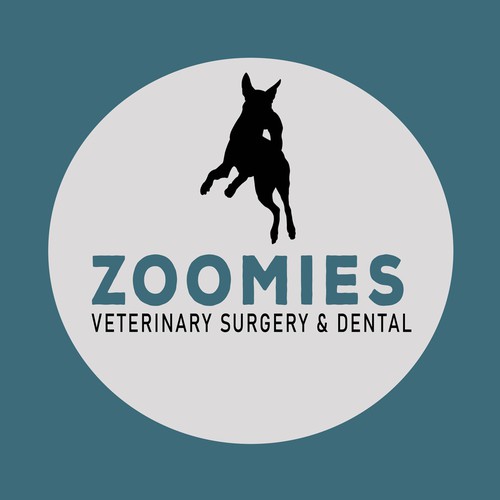 Veterinary surgery 