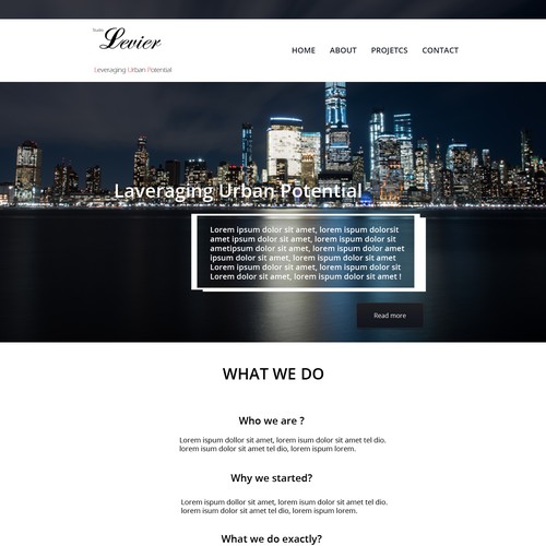 Web design for a consultant company 
