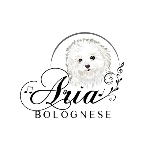 Aria Bolognese