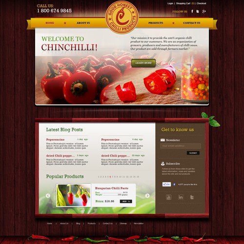 Creative chilli themed website 