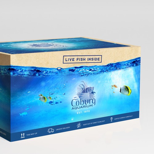 Aquarium box