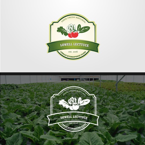 Logo concept for lowell lectucce