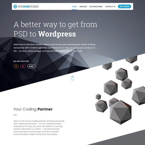 SiteNineStudios Website Design Concept