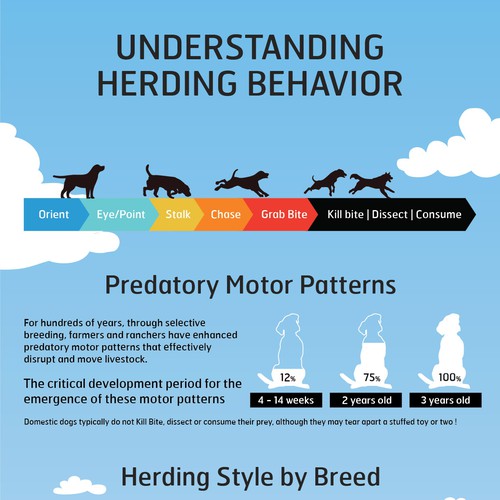 Infographie for Herding behavior