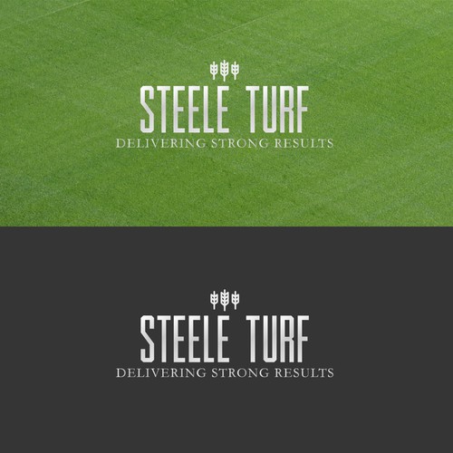 STEELE TURF 2