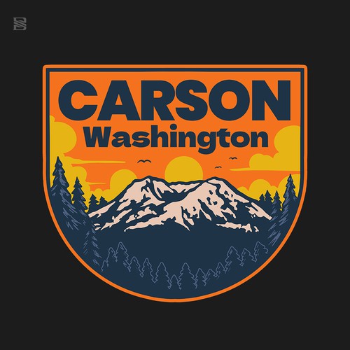 Carson Washington
