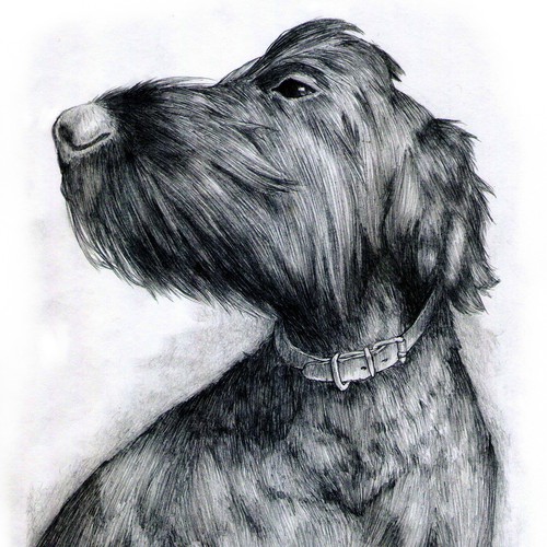 Illustration of a dog