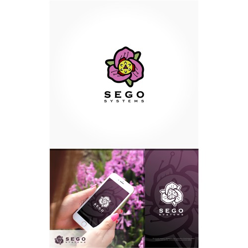 flower, sego lily, technology