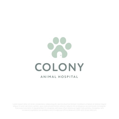 Colony // Logotype
