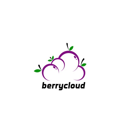 Create a professional brand for berrycloud software