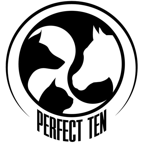 Logo Design for Animal Rescue