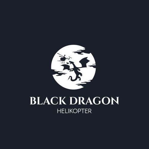 Logo design for black dragon