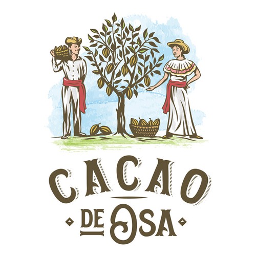 Logo concept for Cacao Cooperative